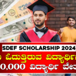 SDEF Scholarship